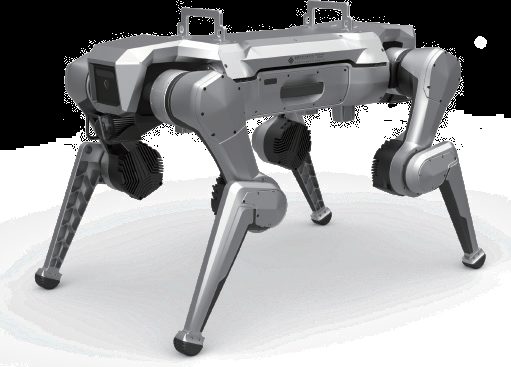 X-25D